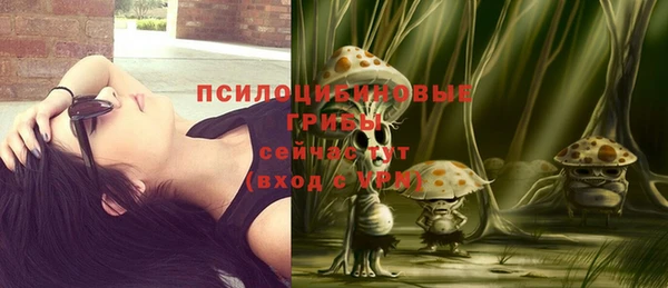хмурый Бронницы